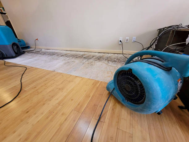 Reliable Basement Flood Cleanup contractor in D Hanis, TX by Hirex Water Damage