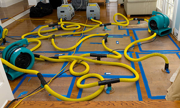 Professional Basement Flood Cleanup technician working in D Hanis, TX